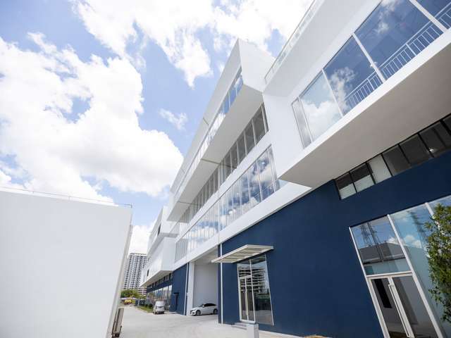 广州田园绿化树环境